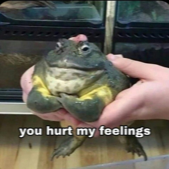 Meet your Posher, Nathaniel - Picture 1 of 1